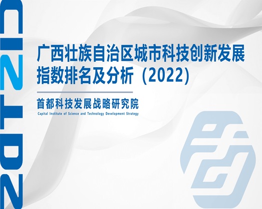 美女裸体色色被操爆啊啊不要【成果发布】广西壮族自治区城市科技创新发展指数排名及分析（2022）